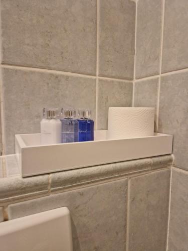 Koupelna v ubytování Apartmány Aurelius