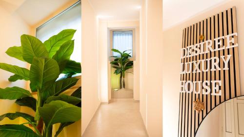 Desiree Luxury House- vasca idromassaggio photo 38