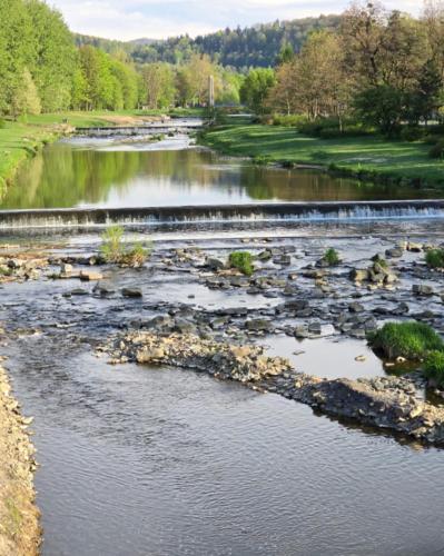 a river with rocks in the water and trees at Zacisze Stasia Ustroń 