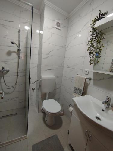 a bathroom with a toilet and a shower and a sink at Chill out apaRtMent in Foča