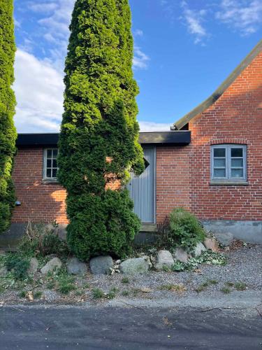 a tall green tree in front of a brick house at Charming House With Beautiful Views in Gedser