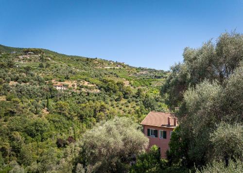 a house on the side of a hill with trees at U Ciousu by Ligurian Life APPARTAMENTI IN AGRITURISMO in Vallebona