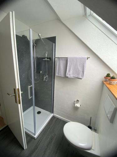 Bilik mandi di Ferienwohnung Apfelblüte