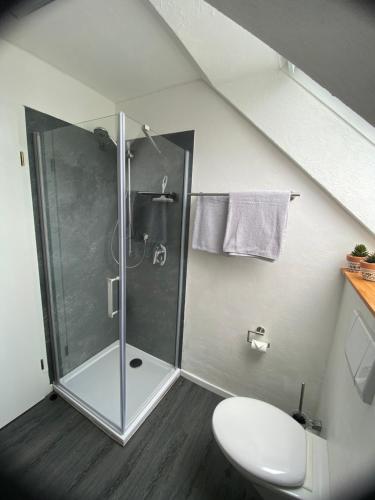Bilik mandi di Ferienwohnung Apfelblüte