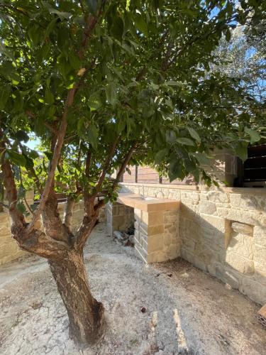 un árbol sentado junto a una pared de piedra en Casa Maria, en Gramvousá