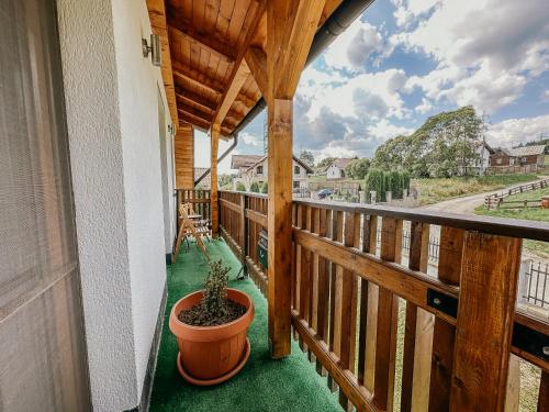 a porch with a potted plant on a balcony at Casa Andreea in Vatra Dornei