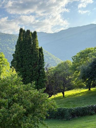 a group of trees in a field with mountains in the background at Beauregard Jura - Countryside Estate Stays Near Geneva in Gex