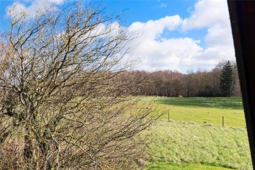 a view of a field with a tree in the foreground at FA004-Faxe-Ladeplads-Brandskov-4 in Fakse Ladeplads
