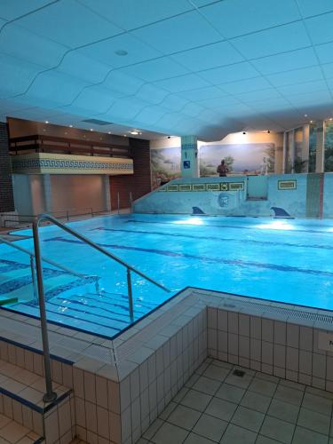 a large swimming pool with blue water in a building at Sternenacht in Sankt Englmar