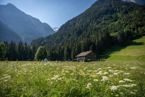 a field with a house in the middle of a mountain at La Chotte du Musher in Champéry