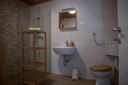 W łazience znajduje się umywalka, toaleta i lustro. w obiekcie Apartments & Rooms Smučka w mieście Kranjska Gora