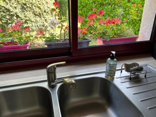 un évier devant une fenêtre avec des fleurs dans l'établissement La Maison aux Volets Rouges, à La Ferté-Beauharnais