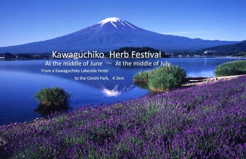 a field of purple flowers with a mountain in the background at Kawaguchiko Lakeside Hotel in Fujikawaguchiko