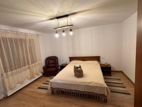 a bedroom with a bed and a chair at Casuta de sub deal 
