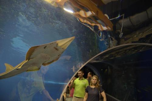 a group of people standing in front of a shark tank at Vila Kateřina in Broumov