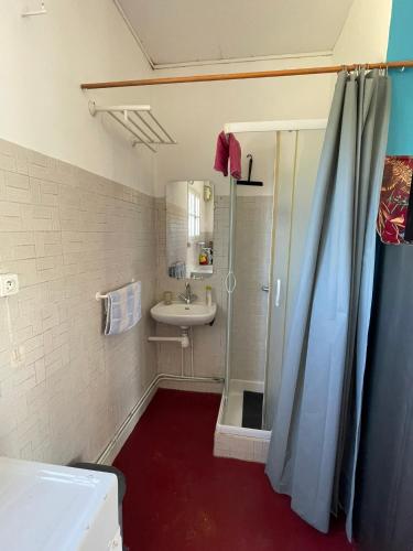 a bathroom with a shower and a sink at Maison sur la Mer - FrontSea in Angoulins-sur-Mer