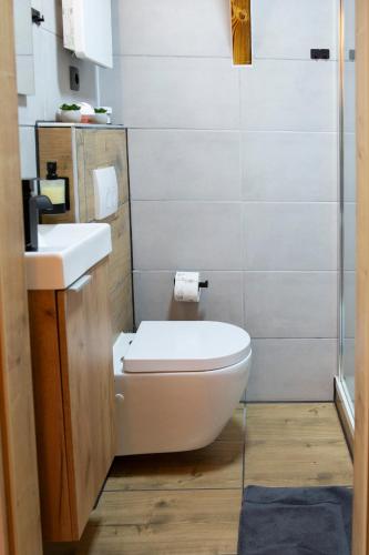 PirkにあるPirker Anden Chaletのトイレと洗面台付きのバスルーム