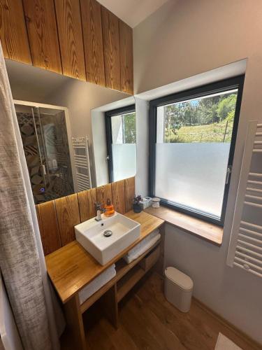 a bathroom with a white sink and a window at Papillon 05 - Wellness in Briançon