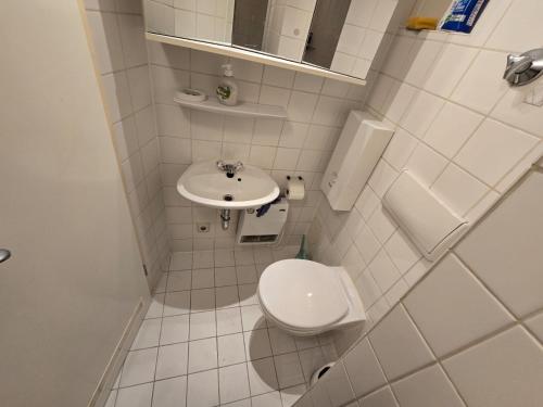 a small bathroom with a toilet and a sink at Cozy one-room apartment in Nürnberg