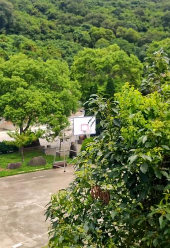 a view of a parking lot with trees at 津沙小筑 in Nangan