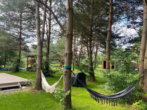 a hammock in the middle of a yard with trees at Dom Na Brzegu Ciszy in Pasym