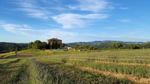 a field with a house on a hill with a farm at Locanda Cugnanello in Anqua