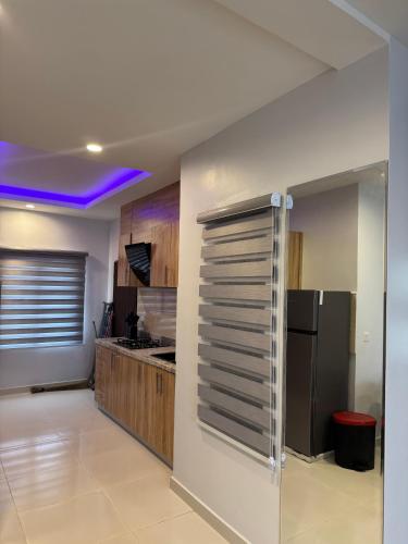 a kitchen with a stainless steel refrigerator and wooden cabinets at Discovery Apartments in Lekki