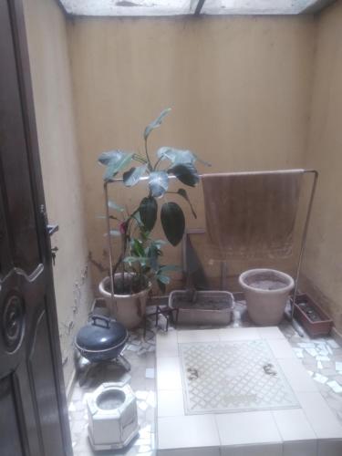 a bathroom with a toilet and a potted plant at Apparte in Dakar