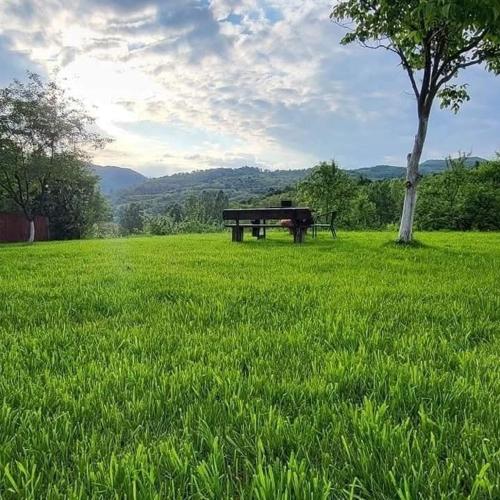 Landskap semula jadi dekat dengan chalet