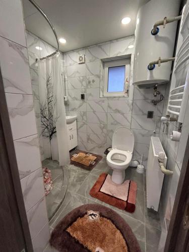 a bathroom with a toilet and a shower at Мелодія Гір in Bukovets