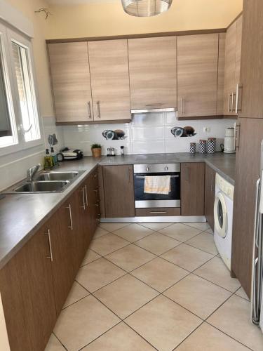 a kitchen with a sink and a dishwasher at Latomi Sea View in Chios