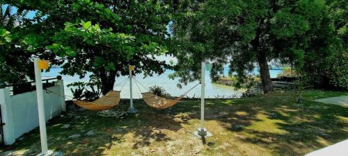 a group of hammocks hanging from trees near the water at Casa G Private BeachfrontYour own private beach in Samal