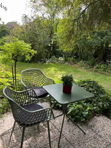 two chairs and a table with a potted plant at B&B De Dreef in Middelburg