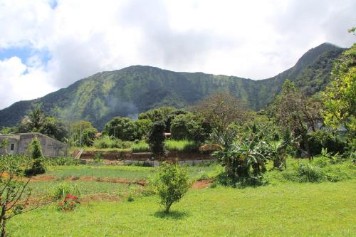 a green field with a mountain in the background at Villa Montjoly in Le Morne-Vert
