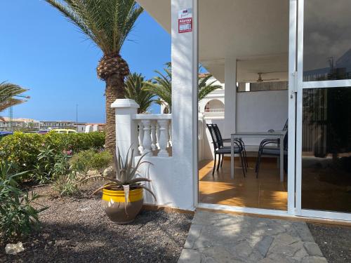 a palm tree sitting next to a house with a porch at Pebble Beach in San Miguel de Abona