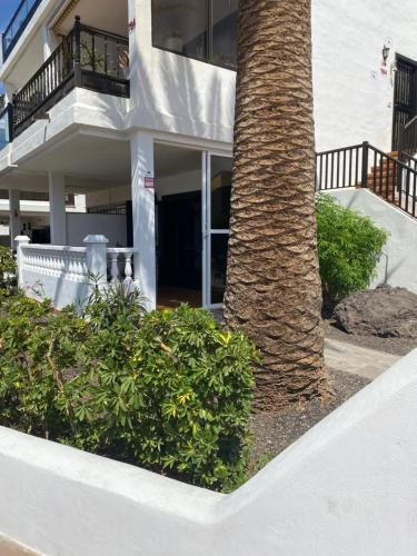 a palm tree in front of a building at Pebble Beach in San Miguel de Abona