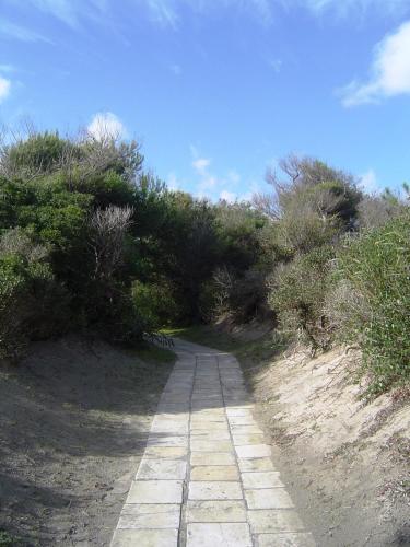 a path in the middle of a field with bushes at ALIMINI 2 - Casa a 100 mt dal mare- House 100 meteres of the sea in Alimini
