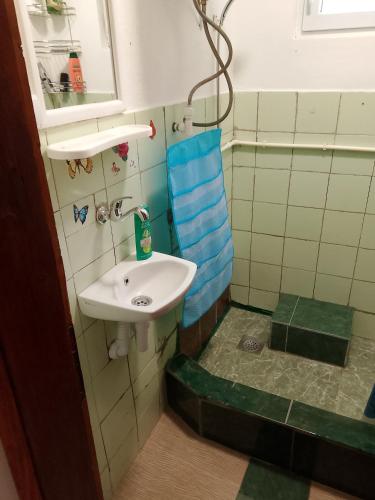 a small bathroom with a sink and a shower at Rest House Tara in Mojkovac