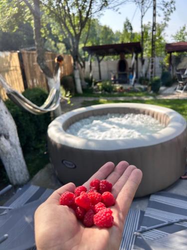 Gambar di galeri bagi BraziHouse - pine escape with jacuzzi di Petroşani