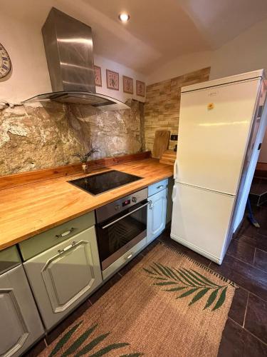 a kitchen with a white refrigerator and a sink at Chalupa Ořechov in OÅ™echov