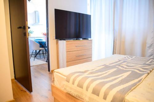 TV a/nebo společenská místnost v ubytování Pipera Studio Apartment