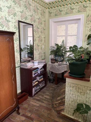 a room with a mirror and plants on the wall at Etno kuca Kod Ognjene Milke in Novi Bečej