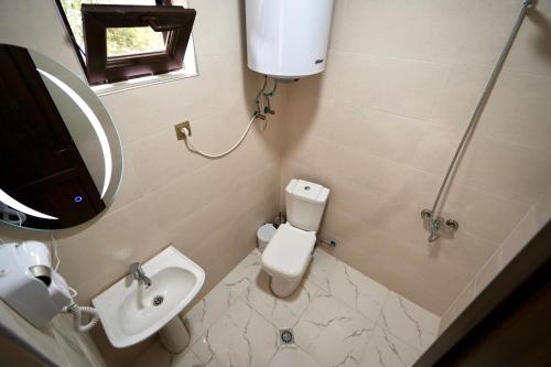 a bathroom with a toilet and a sink and a mirror at Hotel 5 Mountains in Mestia