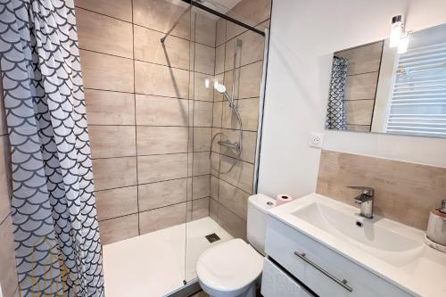 a bathroom with a shower and a toilet and a sink at Le St Roch - Cosy & Confort in Roanne