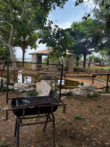 Φυσικό τοπίο κοντά σε αυτό το bed & breakfast