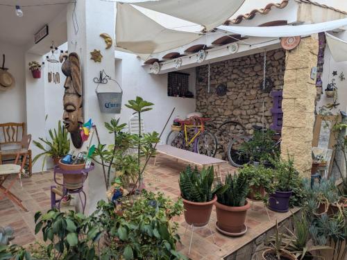 Casa Paula في Orcheta: فناء به مجموعة من النباتات ومظلة