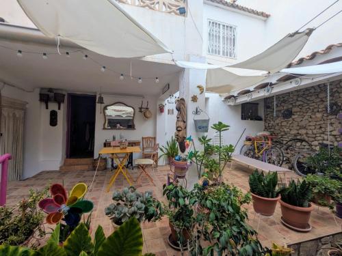 Casa Paula في Orcheta: فناء به الكثير من النباتات ومظلة