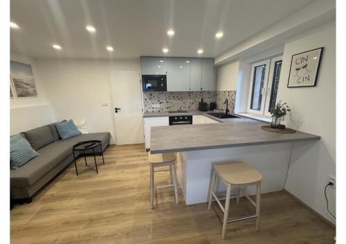 une cuisine et un salon avec un canapé et une table dans l'établissement Studio Okruh, à Nový Lískovec