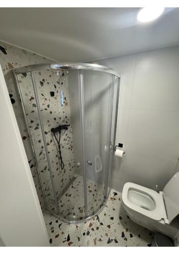 La salle de bains est pourvue d'une douche en verre et de toilettes. dans l'établissement Studio Okruh, à Nový Lískovec