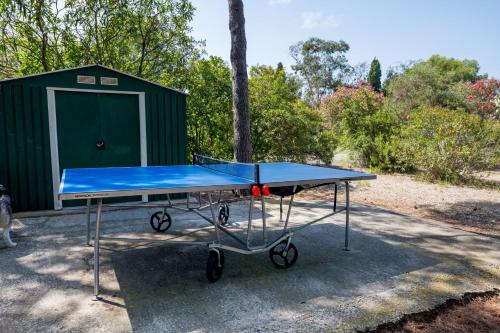 Con terraza con campo fútbol, pin pong con Parking